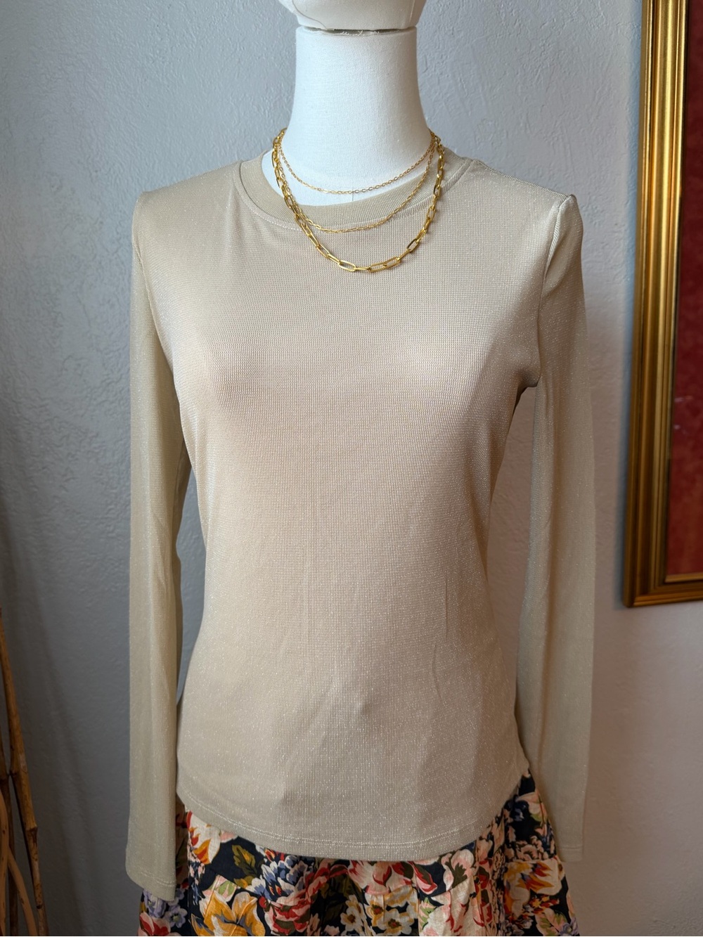 149~NWT Mesh Shimmer Top by Sanctuary Sheer Sleeves